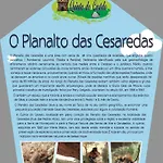 Quinta Do Castelo, De Pedra Reguengo Grande