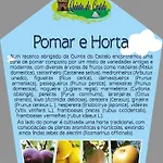 Quinta Do Castelo, De Pedra Venkovský dům *