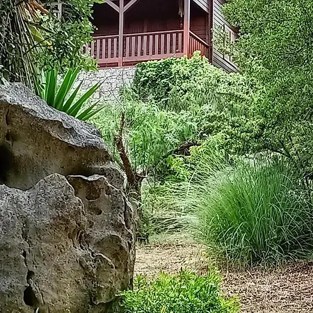 Quinta Do Castelo, De Pedra Séjour à la campagne Reguengo Grande