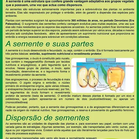 Séjour à la campagne Quinta Do Castelo, De Pedra *