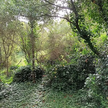 Quinta Do Castelo, De Pedra Séjour à la campagne *