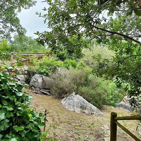 Séjour à la campagne Quinta Do Castelo, De Pedra *