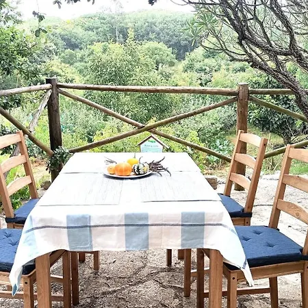 Quinta Do Castelo, De Pedra Séjour à la campagne Reguengo Grande