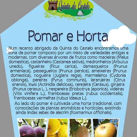 Quinta Do Castelo, De Pedra Landhaus *