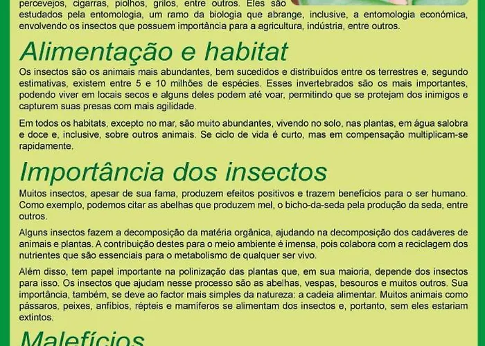 Летний дом Quinta Do Castelo, De Pedra Reguengo Grande