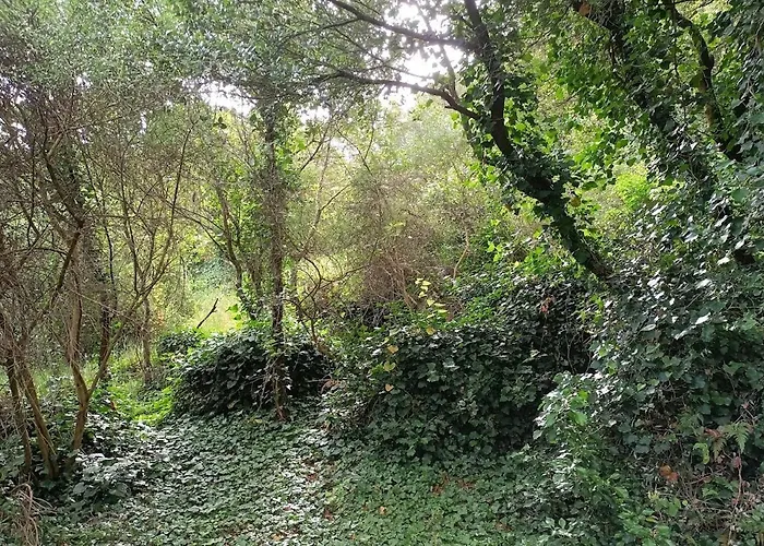 Quinta Do Castelo, De Pedra Летний дом *