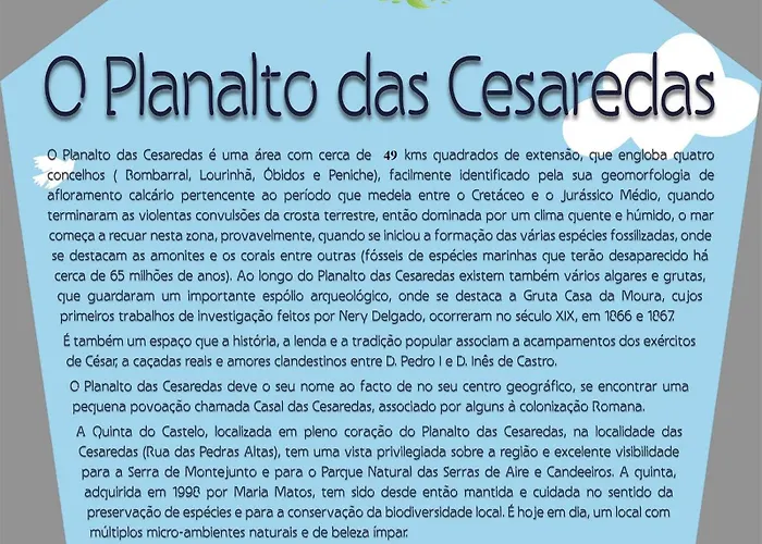 Quinta Do Castelo, De Pedra Reguengo Grande
