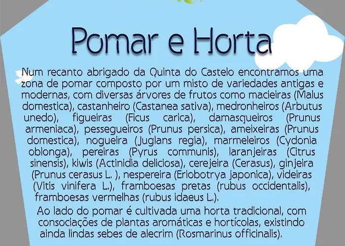 Quinta Do Castelo, De Pedra Летний дом *